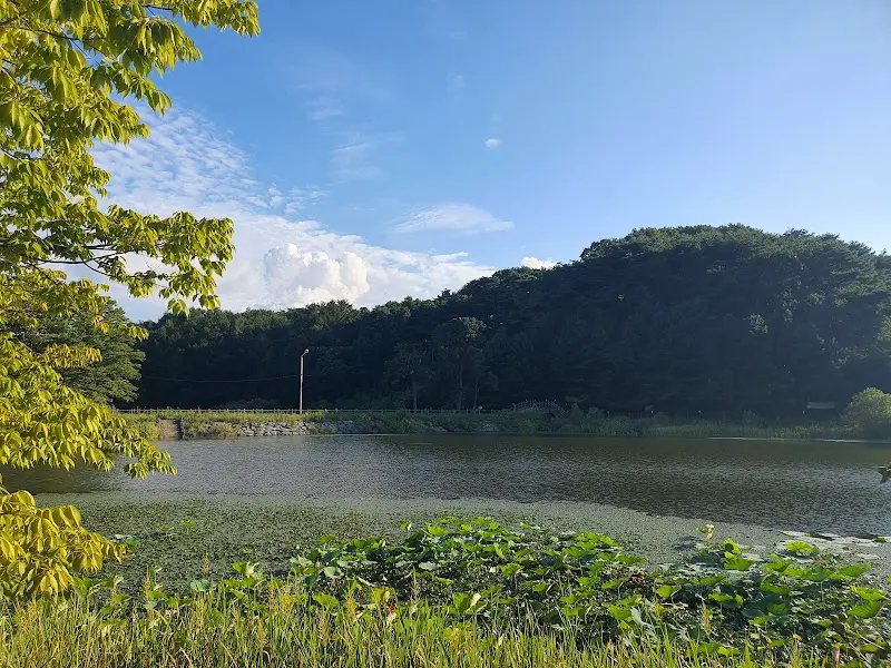 식당 주변 풍경