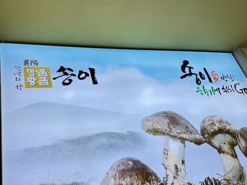 송이버섯 효능 안내문.