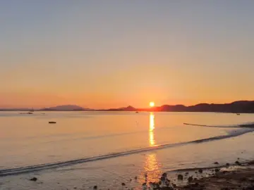 고흥 바다를 품은 맛, 낭만적인 일몰 뷰 맛집에서 즐기는 월남쌈의 향연