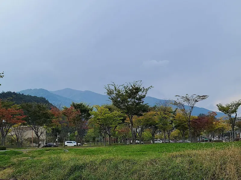 식당 주변 풍경