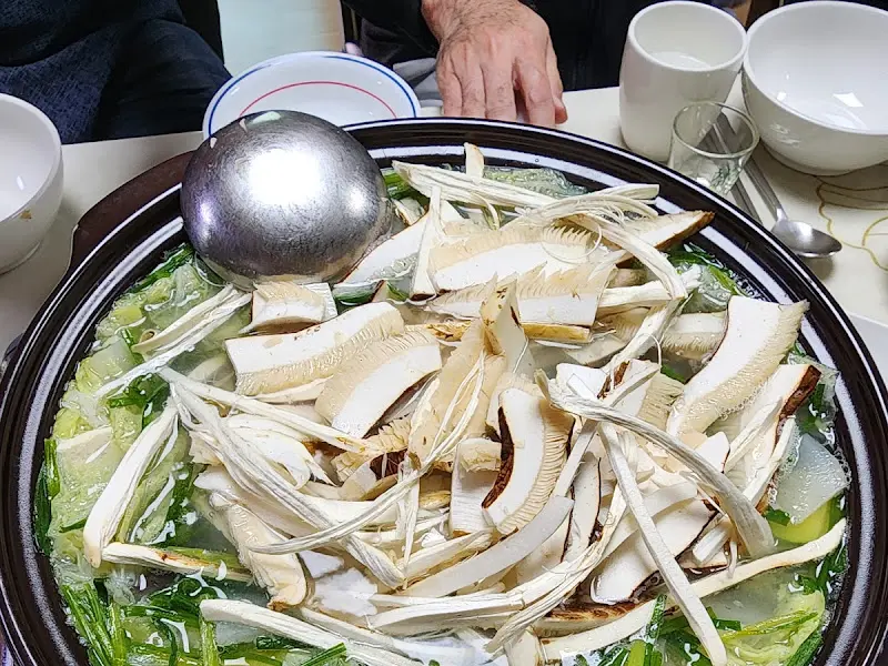 송이버섯 클로즈업