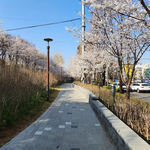 식당 근처 풍경