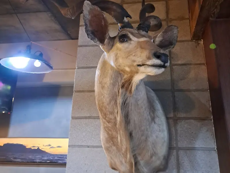 이국적인 분위기의 내부