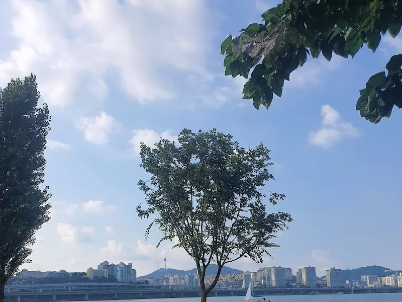 푸른 하늘과 흰 구름이 보이는 식당 밖 풍경