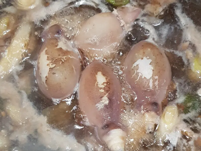 꿈틀거리는 낙지