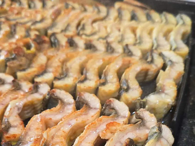 가지런히 정렬된 장어