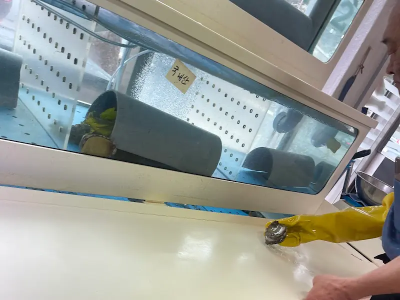 사장님이 직접 전복을 손질하는 모습