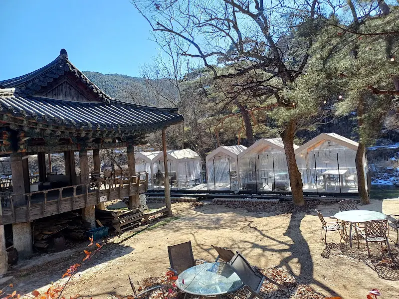 겨울의 민들레울, 텐트에서 커피를 즐기는 사람들