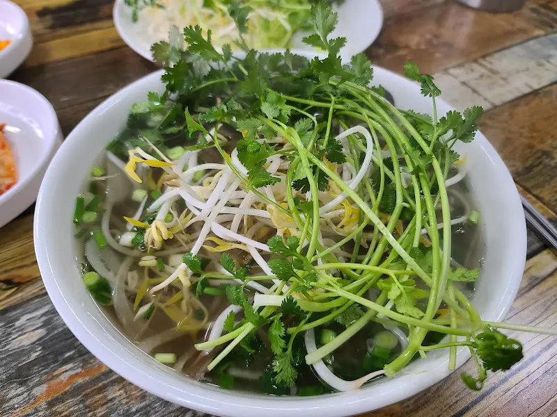 푸짐하게 제공된 고수가 돋보이는 쌀국수