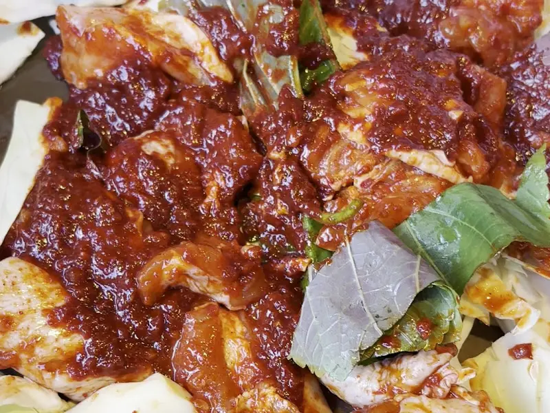 양념이 잘 베인 닭갈비 근접샷