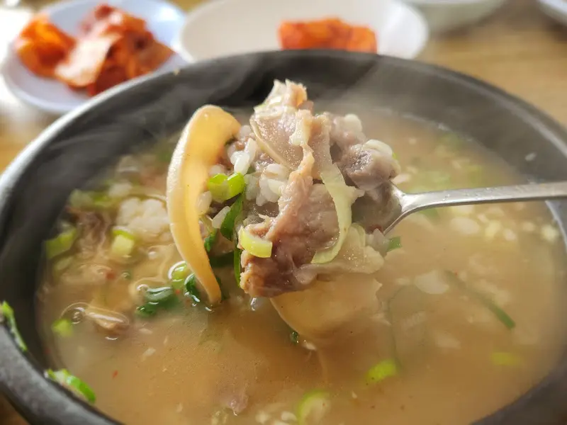 소머리국밥 고기