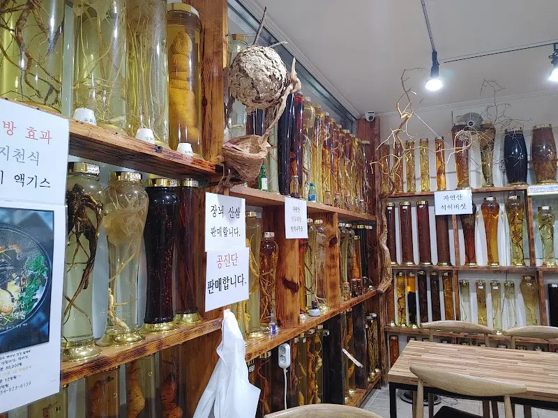 다양한 담금주가 진열된 모습