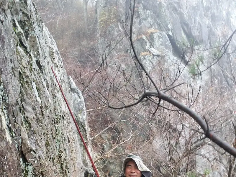 약초를 채취하는 사장님의 모습