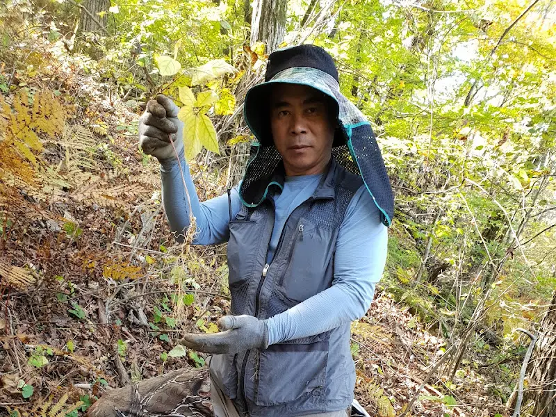직접 약초를 채취하는 사장님