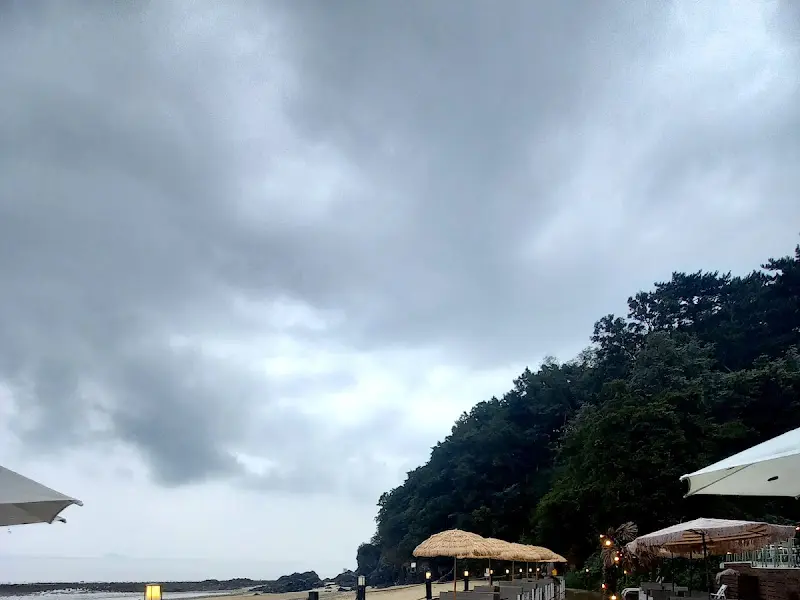 해변에서 바라본 카페 전경