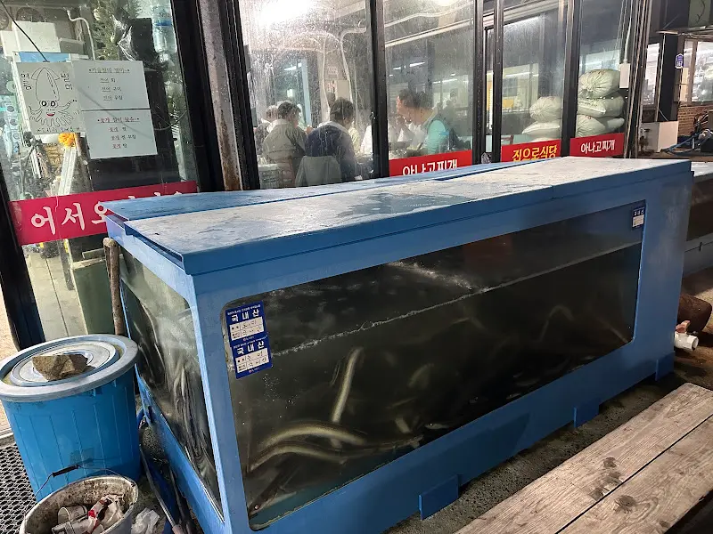 싱싱한 아나고 수족관