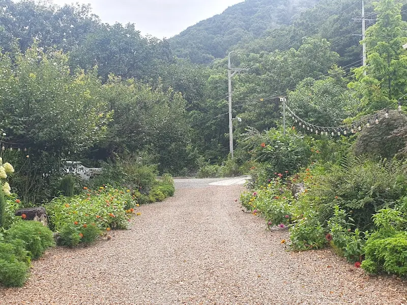 꽃피는 산골 가는 길