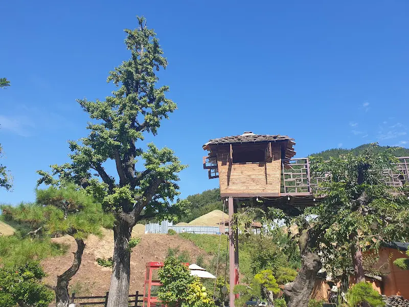 나무 위에 지어진 작은 집