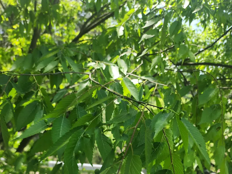 식당 주변 풍경