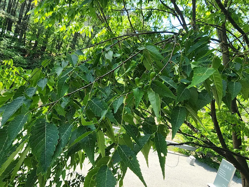 식당 주변 풍경