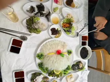 황홀한 노을 아래 즐기는 고성 물회, 인생 최고의 맛집 등극 순간