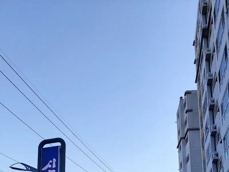 맑은 하늘 아래 신일밀면