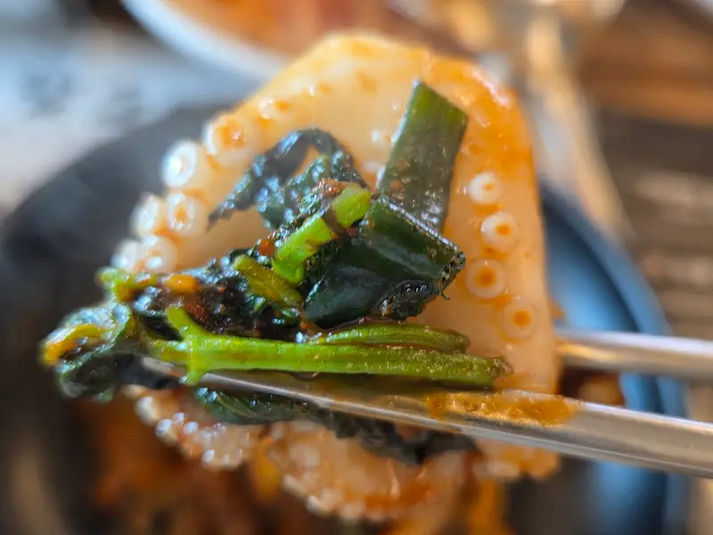 젓가락으로 집은 쭈꾸미