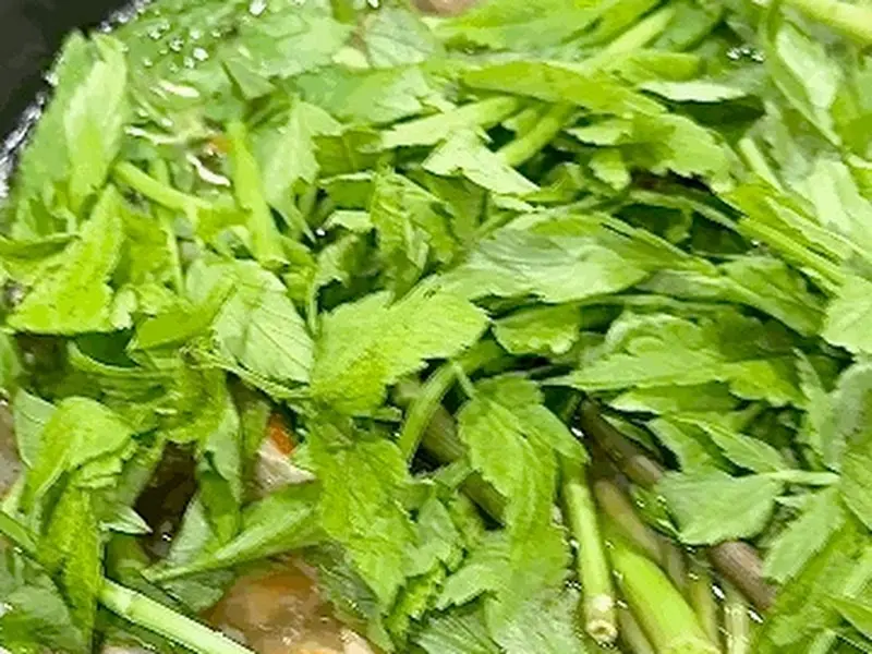 미나리가 가득한 냄비