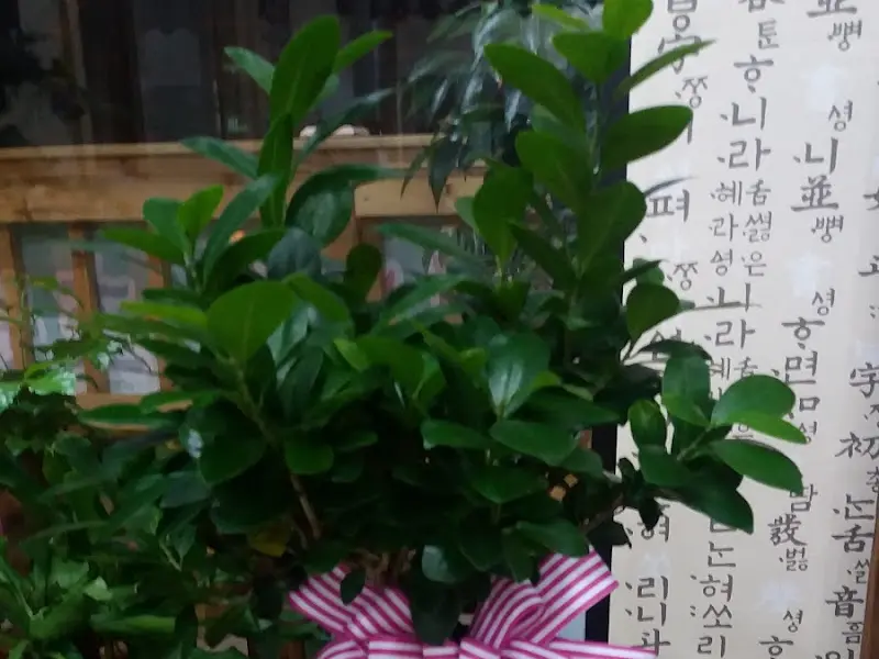 초원의집 내부 장식