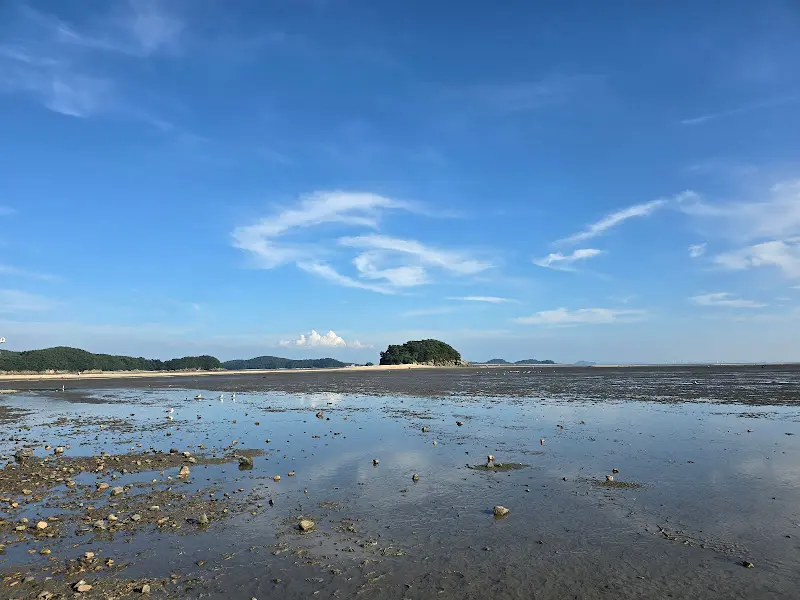 썰물 때 드러난 갯벌