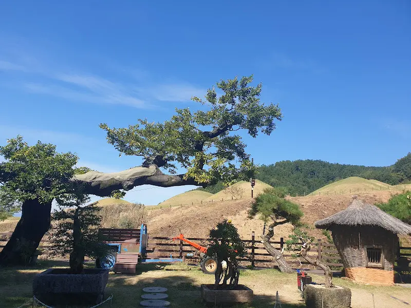 아름답게 정돈된 정원 풍경