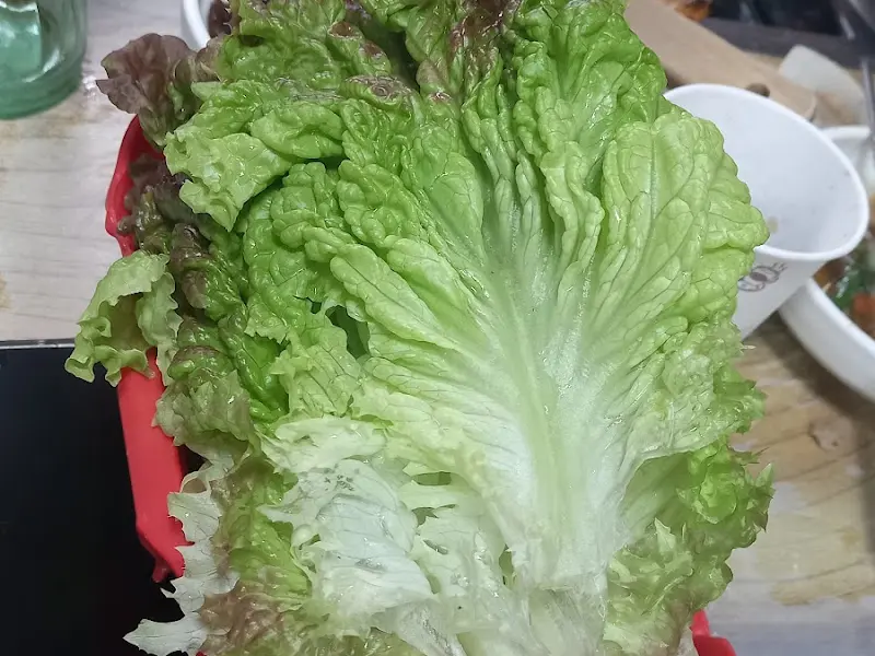 싱싱한 텃밭 상추