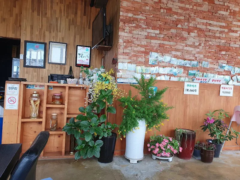 다양한 화분들