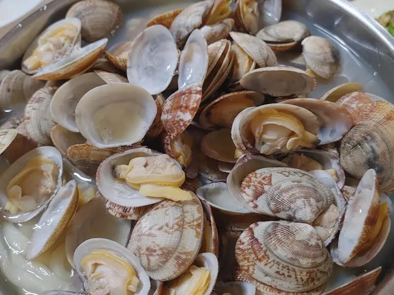 수북하게 쌓인 바지락