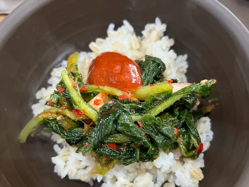 고추장과 열무김치가 올려진 보리밥