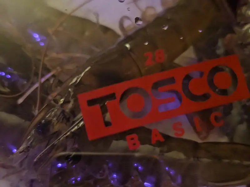 신선한 새우: 수조 안에서 헤엄치는 신선한 새우들의 모습