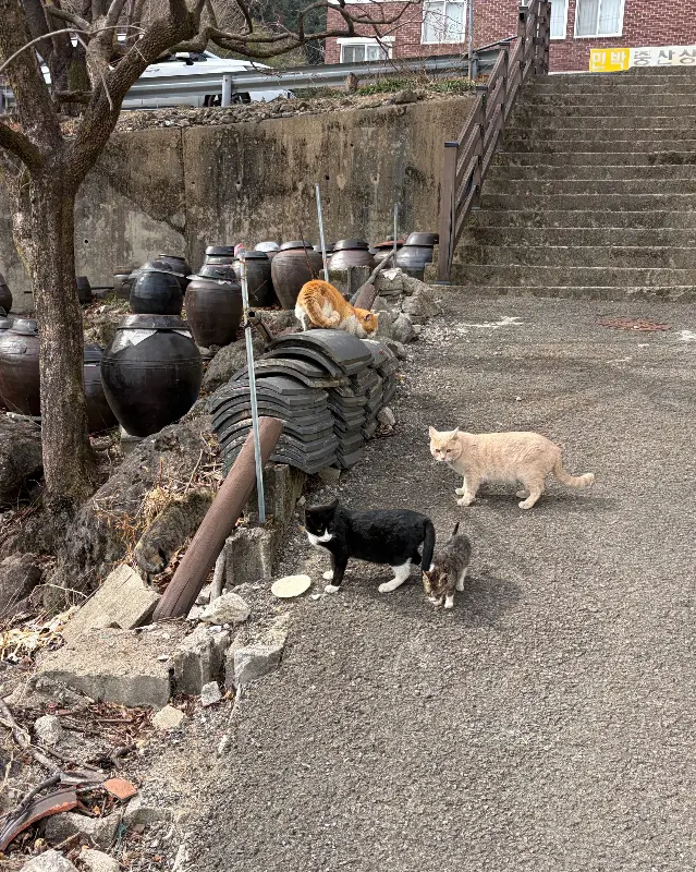 가게 주변 풍경