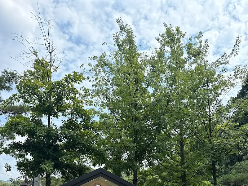 녹음이 우거진 묵방골정원 풍경