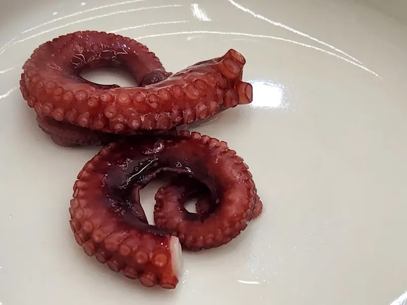 통문어 단독 샷