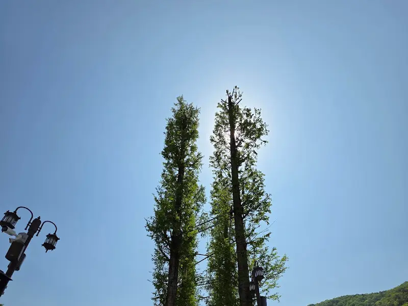 스완 레스토랑 주변 풍경