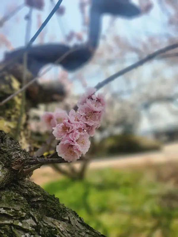 카페 근처 풍경