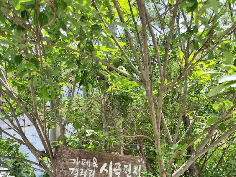 카페 입구를 장식한 푸른 나무들