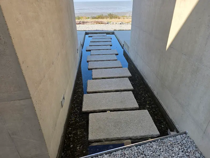 카페 앞 메밀꽃밭에서 인생샷 찰칵!