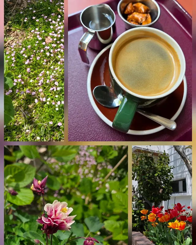 바스크 치즈 케이크