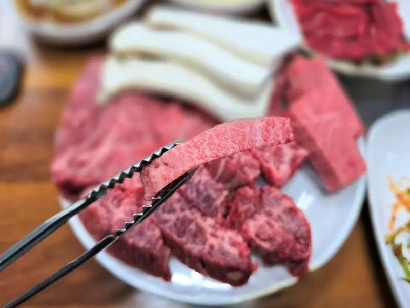 신선한 육사시미