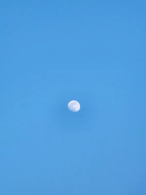 따끈한 피자 포장