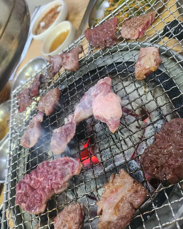 제비추리 단독샷