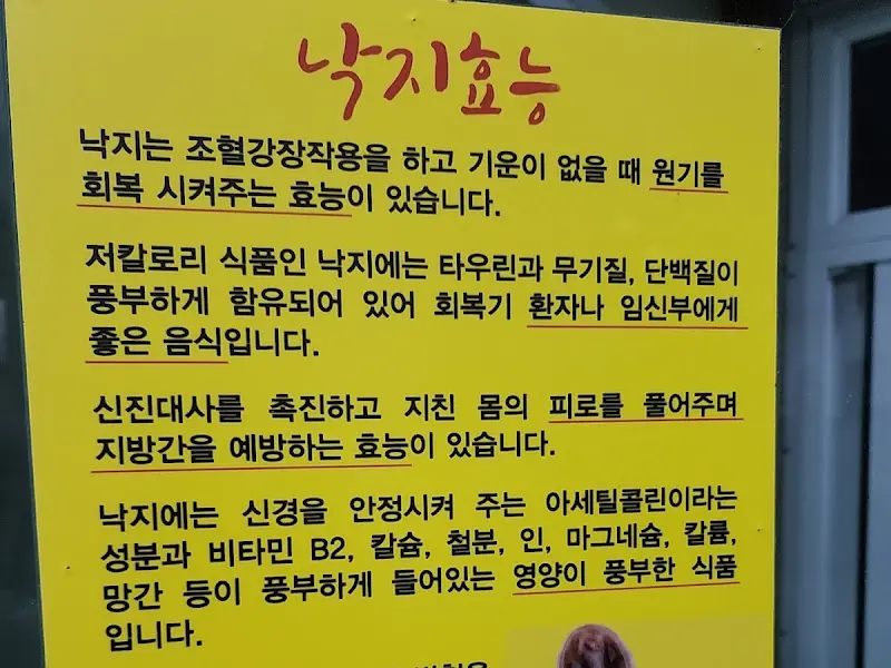 낙지 효능