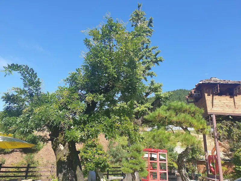 정원 내 트리하우스와 조경