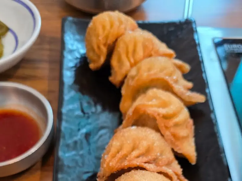 겉은 바삭하고 속은 촉촉한 군만두